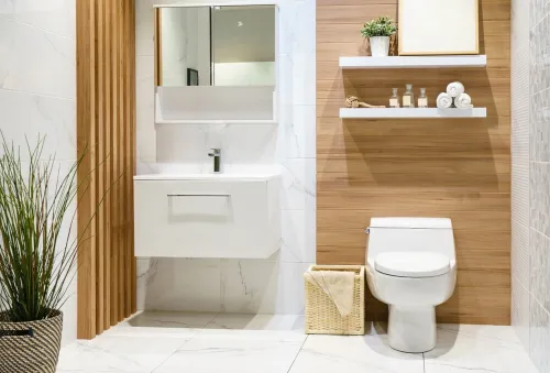 The Importance of Proper Toilet Placement According to Vastu